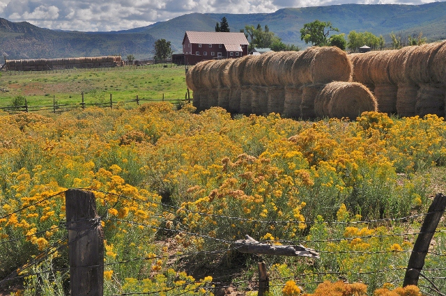 Highway 121, 59 Road up to Grand Mesa